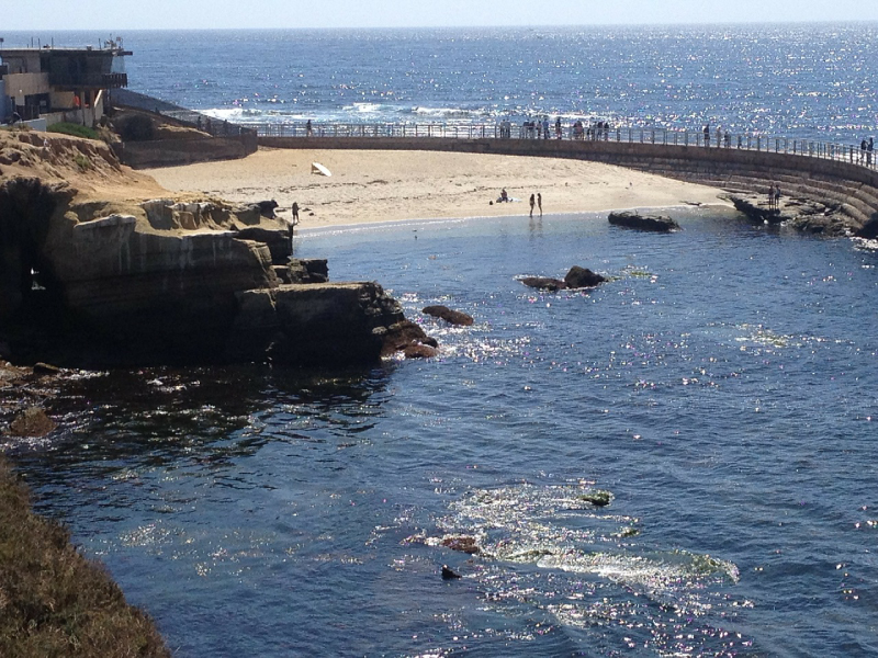 top things to do in la jolla