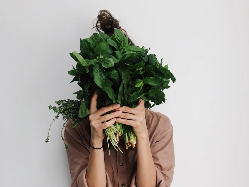 top vegan travel blogs