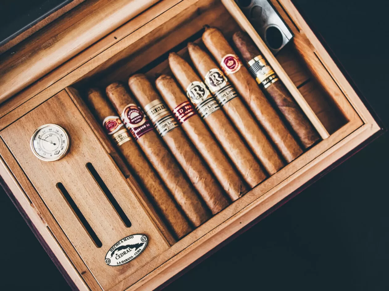 travel humidor for cigars